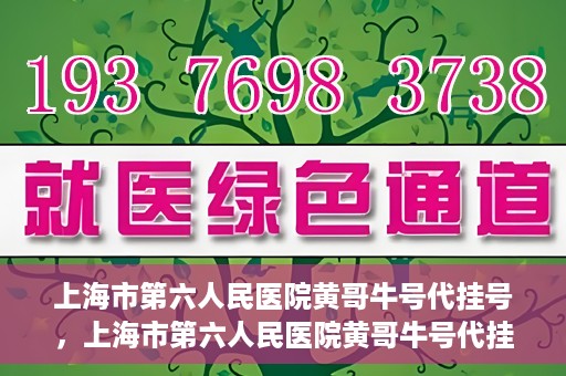 上海市第六人民医院黄哥牛号代挂号，上海市第六人民医院黄哥牛号代挂号攻略揭秘