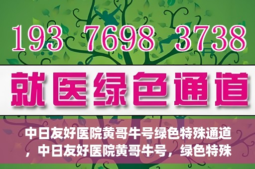 中日友好医院黄哥牛号绿色特殊通道，中日友好医院黄哥牛号，绿色特殊通道开启健康之门