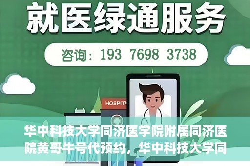 华中科技大学同济医学院附属同济医院黄哥牛号代预约，华中科技大学同济医院黄哥牛号预约服务解析