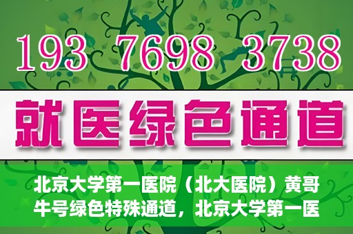 北京大学第一医院（北大医院）黄哥牛号绿色特殊通道，北京大学第一医院绿色特殊通道，黄哥牛号的探索与实践
