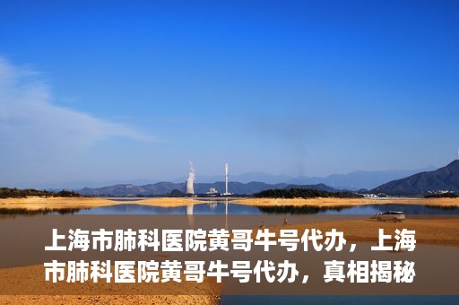 上海市肺科医院黄哥牛号代办，上海市肺科医院黄哥牛号代办，真相揭秘与深度解读