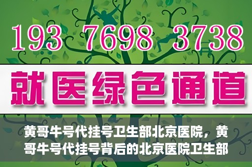 黄哥牛号代挂号卫生部北京医院，黄哥牛号代挂号背后的北京医院卫生部揭秘