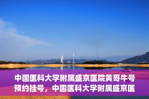 中国医科大学附属盛京医院黄哥牛号预约挂号，中国医科大学附属盛京医院黄哥牛号，预约挂号指南