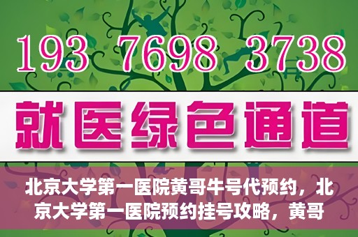 北京大学第一医院黄哥牛号代预约，北京大学第一医院预约挂号攻略，黄哥牛号预约详解