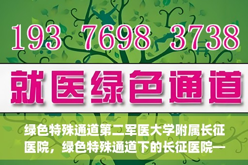 绿色特殊通道第二军医大学附属长征医院，绿色特殊通道下的长征医院——第二军医大学附属长征医院探索与实践