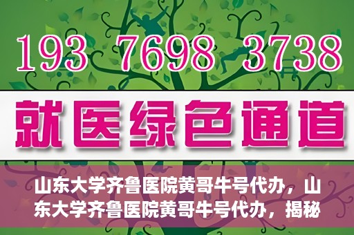 山东大学齐鲁医院黄哥牛号代办，山东大学齐鲁医院黄哥牛号代办，揭秘背后的故事与真相