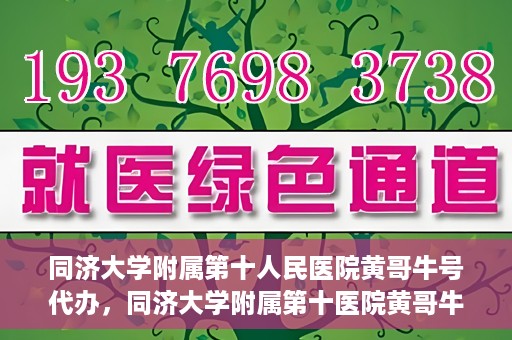 同济大学附属第十人民医院黄哥牛号代办，同济大学附属第十医院黄哥牛号预约代办服务解析