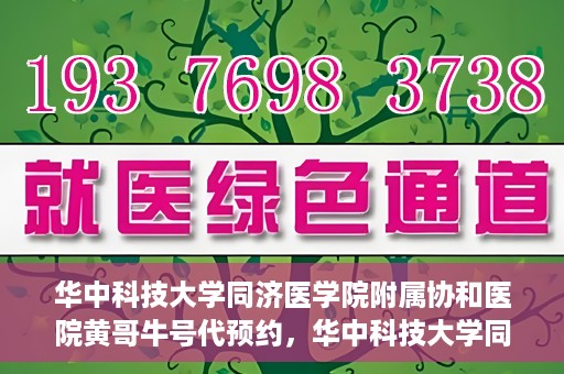 华中科技大学同济医学院附属协和医院黄哥牛号代预约，华中科技大学同济医学院附属协和医院预约服务揭秘，黄哥牛号代预约解析