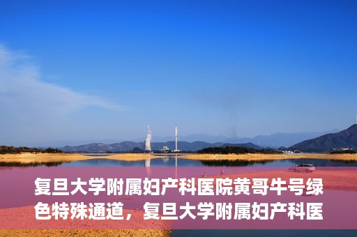 复旦大学附属妇产科医院黄哥牛号绿色特殊通道，复旦大学附属妇产科医院黄哥牛号，绿色特殊通道开启健康之门