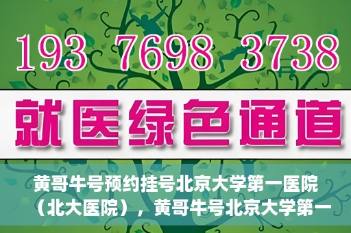 黄哥牛号预约挂号北京大学第一医院（北大医院），黄哥牛号北京大学第一医院预约挂号启动