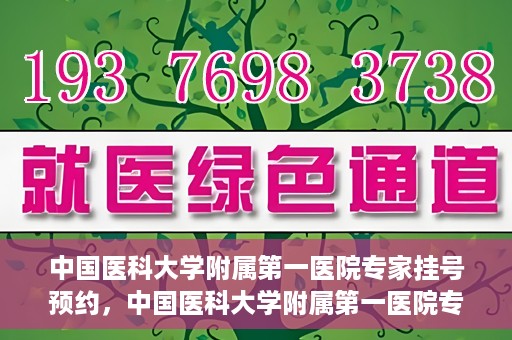 中国医科大学附属第一医院专家挂号预约，中国医科大学附属第一医院专家挂号预约攻略，一站式解决您的就医难题