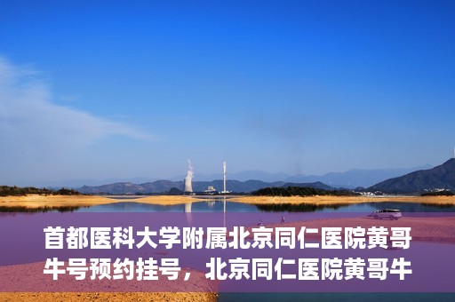 首都医科大学附属北京同仁医院黄哥牛号预约挂号，北京同仁医院黄哥牛号预约挂号攻略，专业医疗服务的便捷通道