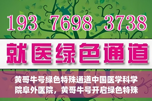 黄哥牛号绿色特殊通道中国医学科学院阜外医院，黄哥牛号开启绿色特殊通道，中国医学科学院阜外医院的探索与实践