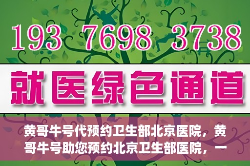 黄哥牛号代预约卫生部北京医院，黄哥牛号助您预约北京卫生部医院，一站式便捷服务开启