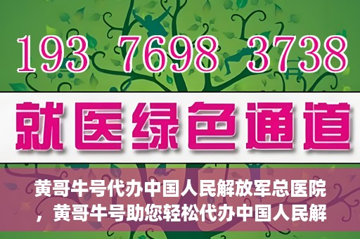 黄哥牛号代办中国人民解放军总医院，黄哥牛号助您轻松代办中国人民解放军总医院业务手续