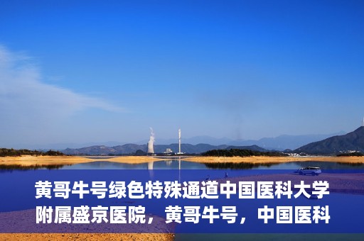 黄哥牛号绿色特殊通道中国医科大学附属盛京医院，黄哥牛号，中国医科大学附属盛京医院开启绿色特殊通道助力医疗进步