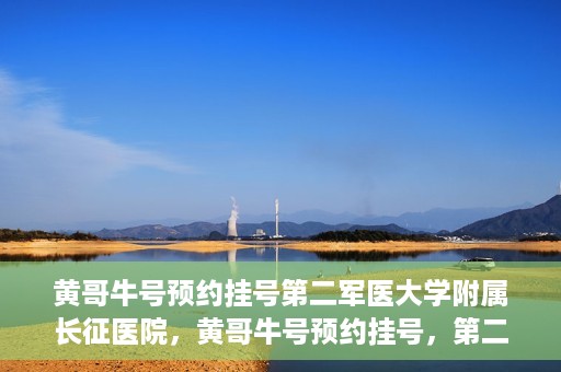 黄哥牛号预约挂号第二军医大学附属长征医院，黄哥牛号预约挂号，第二军医大学附属长征医院就医新体验