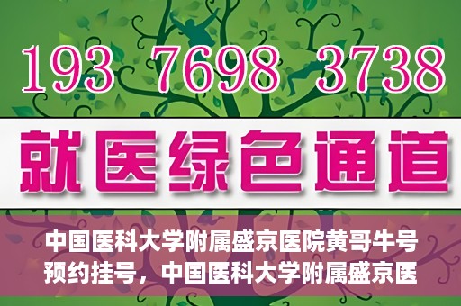 中国医科大学附属盛京医院黄哥牛号预约挂号，中国医科大学附属盛京医院黄哥牛号，预约挂号指南