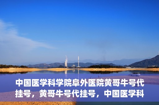中国医学科学院阜外医院黄哥牛号代挂号，黄哥牛号代挂号，中国医学科学院阜外医院便捷就医新途径