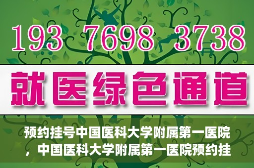 预约挂号中国医科大学附属第一医院，中国医科大学附属第一医院预约挂号系统启动，一站式服务助您轻松就医