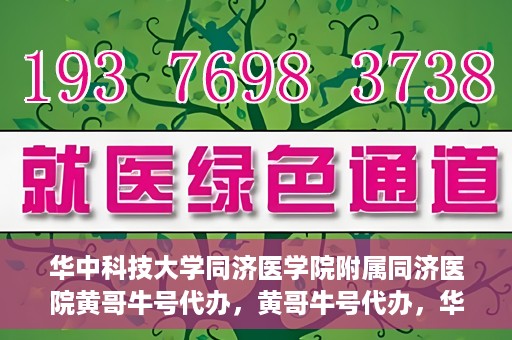 华中科技大学同济医学院附属同济医院黄哥牛号代办，黄哥牛号代办，华中科技大学同济医学院附属同济医院的便捷服务新探