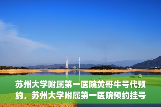 苏州大学附属第一医院黄哥牛号代预约，苏州大学附属第一医院预约挂号新动向，黄哥牛号代预约服务亮相