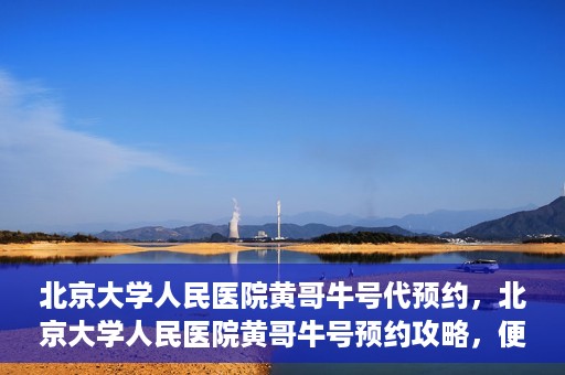 北京大学人民医院黄哥牛号代预约，北京大学人民医院黄哥牛号预约攻略，便捷代预约服务解析