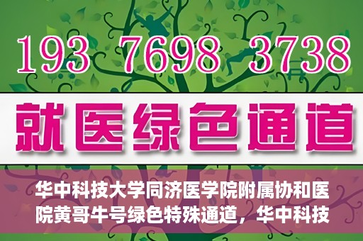 华中科技大学同济医学院附属协和医院黄哥牛号绿色特殊通道，华中科技大学同济医学院附属协和医院黄哥牛号绿色就医特殊通道揭秘