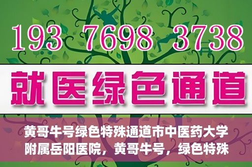 黄哥牛号绿色特殊通道市中医药大学附属岳阳医院，黄哥牛号，绿色特殊通道助力中医药大学附属岳阳医院健康前行