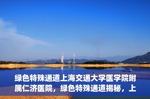 绿色特殊通道上海交通大学医学院附属仁济医院，绿色特殊通道揭秘，上海交通大学医学院附属仁济医院的探索与实践