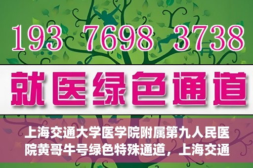 上海交通大学医学院附属第九人民医院黄哥牛号绿色特殊通道，上海交通大学医学院附属第九人民医院黄哥牛号，绿色特殊通道开启健康之门