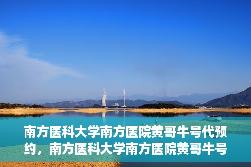 南方医科大学南方医院黄哥牛号代预约，南方医科大学南方医院黄哥牛号预约服务解析