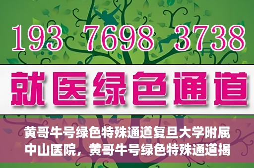 黄哥牛号绿色特殊通道复旦大学附属中山医院，黄哥牛号绿色特殊通道揭秘，复旦大学附属中山医院的独特之处