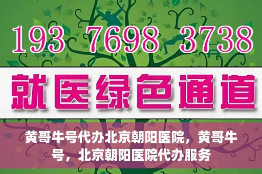 黄哥牛号代办北京朝阳医院，黄哥牛号，北京朝阳医院代办服务