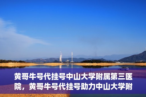 黄哥牛号代挂号中山大学附属第三医院，黄哥牛号代挂号助力中山大学附属第三医院就医便捷化