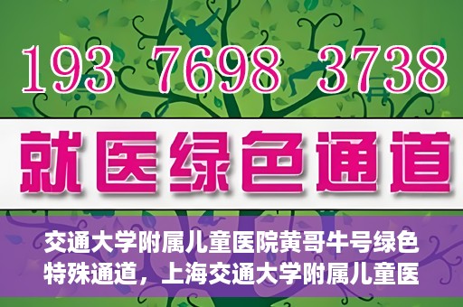 交通大学附属儿童医院黄哥牛号绿色特殊通道，上海交通大学附属儿童医院黄哥牛号绿色特殊通道揭秘