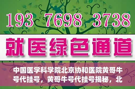 中国医学科学院北京协和医院黄哥牛号代挂号，黄哥牛号代挂号揭秘，北京协和医院挂号背后的故事