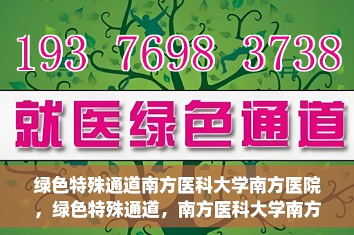绿色特殊通道南方医科大学南方医院，绿色特殊通道，南方医科大学南方医院的探索与实践