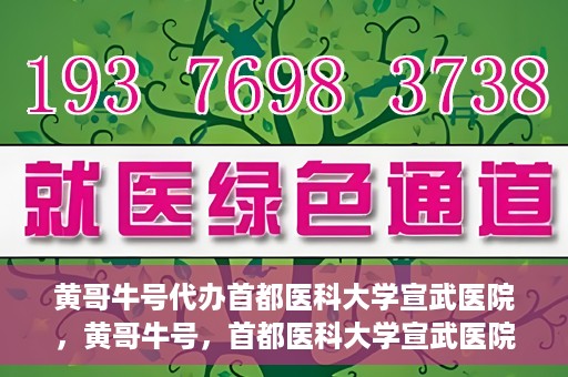 黄哥牛号代办首都医科大学宣武医院，黄哥牛号，首都医科大学宣武医院代办服务