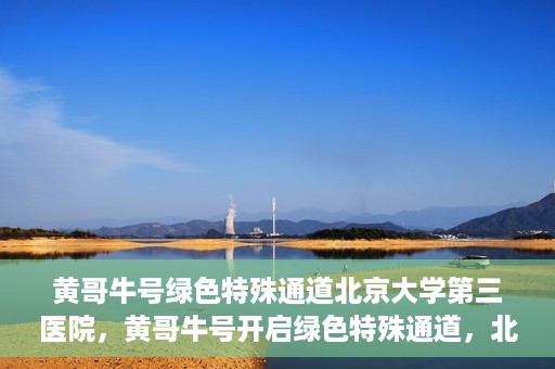 黄哥牛号绿色特殊通道北京大学第三医院，黄哥牛号开启绿色特殊通道，北京大学第三医院助力健康新篇章