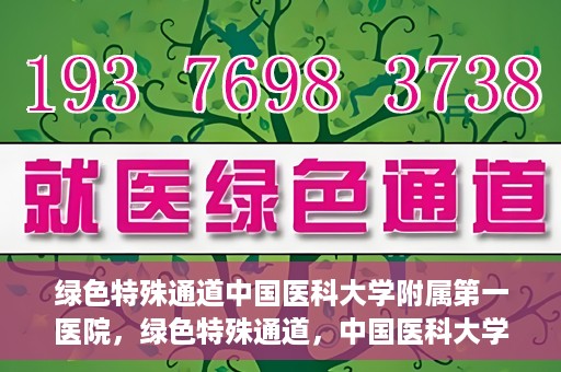 绿色特殊通道中国医科大学附属第一医院，绿色特殊通道，中国医科大学附属第一医院探索前行