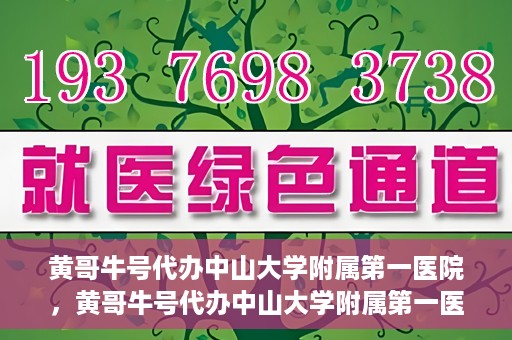 黄哥牛号代办中山大学附属第一医院，黄哥牛号代办中山大学附属第一医院业务手续全攻略