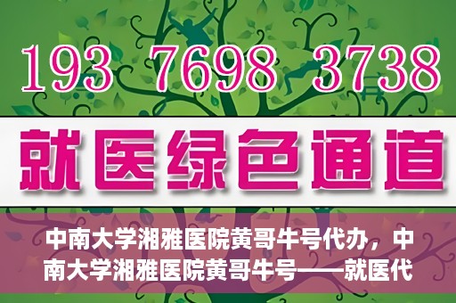 中南大学湘雅医院黄哥牛号代办，中南大学湘雅医院黄哥牛号——就医代办服务详解