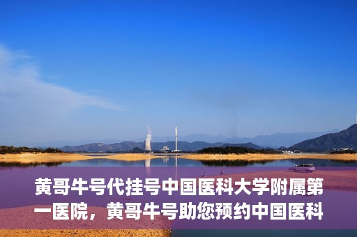 黄哥牛号代挂号中国医科大学附属第一医院，黄哥牛号助您预约中国医科大学附属第一医院专家号