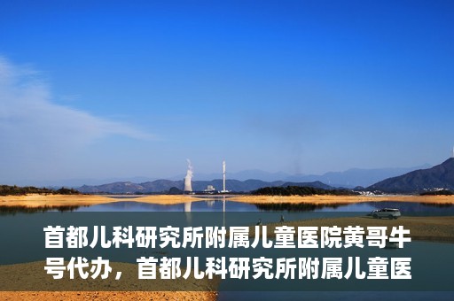 首都儿科研究所附属儿童医院黄哥牛号代办，首都儿科研究所附属儿童医院黄哥牛号业务代办全解析