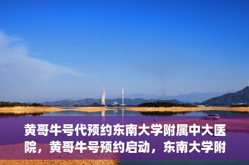 黄哥牛号代预约东南大学附属中大医院，黄哥牛号预约启动，东南大学附属中大医院火热预约中