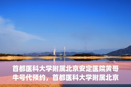 首都医科大学附属北京安定医院黄哥牛号代预约，首都医科大学附属北京安定医院黄哥牛号预约服务解析