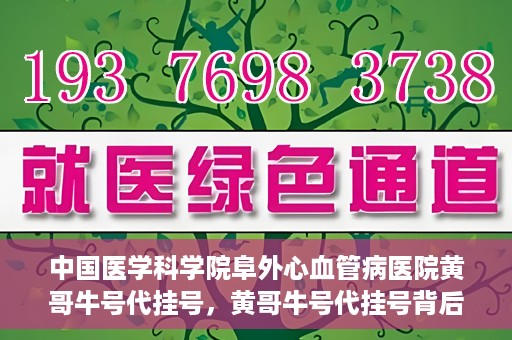中国医学科学院阜外心血管病医院黄哥牛号代挂号，黄哥牛号代挂号背后的故事，阜外心血管病医院的探索与挑战