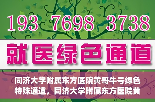 同济大学附属东方医院黄哥牛号绿色特殊通道，同济大学附属东方医院黄哥牛号，绿色特殊通道开启健康之门