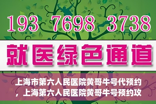上海市第六人民医院黄哥牛号代预约，上海第六人民医院黄哥牛号预约攻略，轻松解决挂号难题